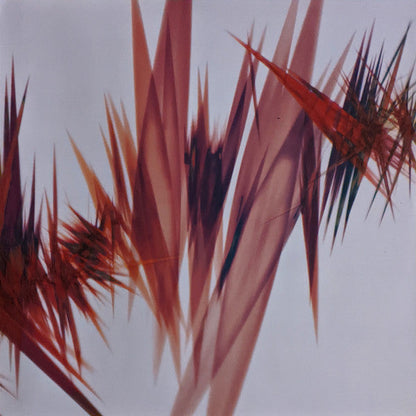 Jon Hopkins - Immunity | Mint (M) Mint (M)-
