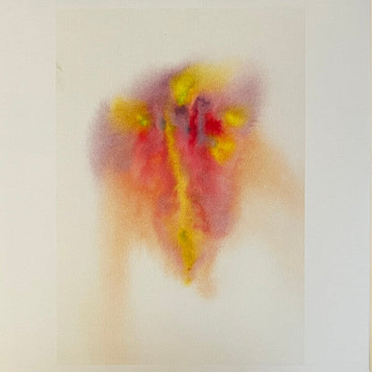 Jon Hopkins - Music For Psychedelic Therapy | Mint (M) Mint (M)-