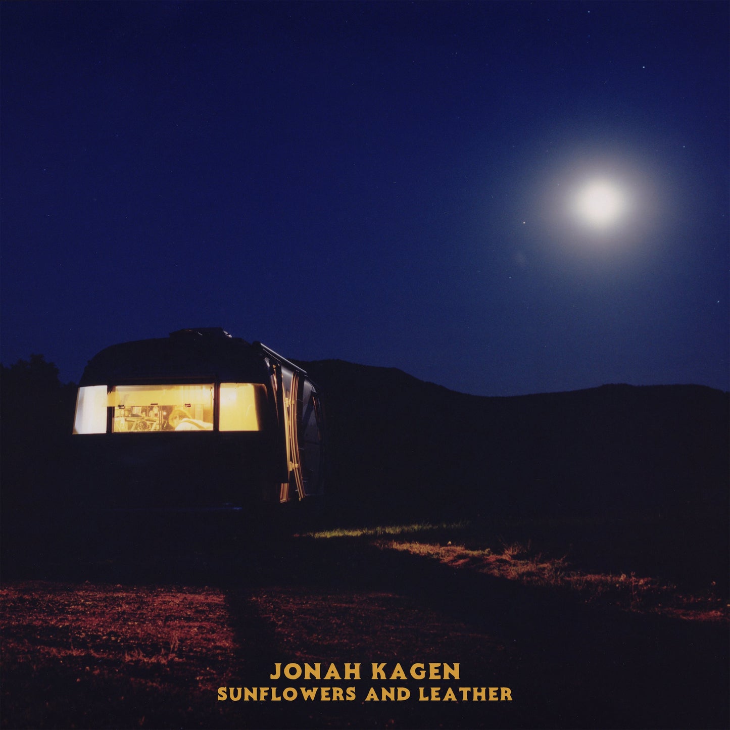 Jonah Kagen - (PRE-ORDER 1/23/26) Sunflowers And Leather [2xLP] |-