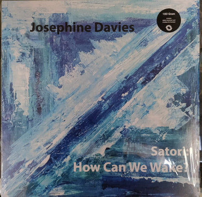 Satori: How Can We Wake? | Mint (M) Mint (M)-