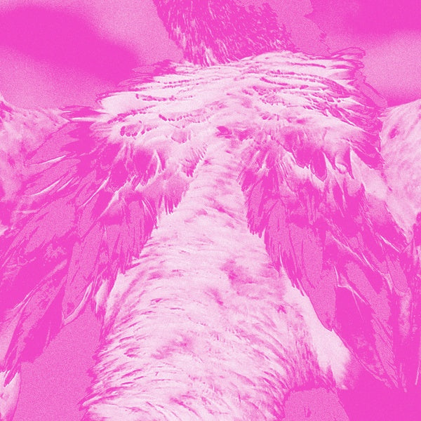 KATE CARR - A field guide to phantasmic birds |-