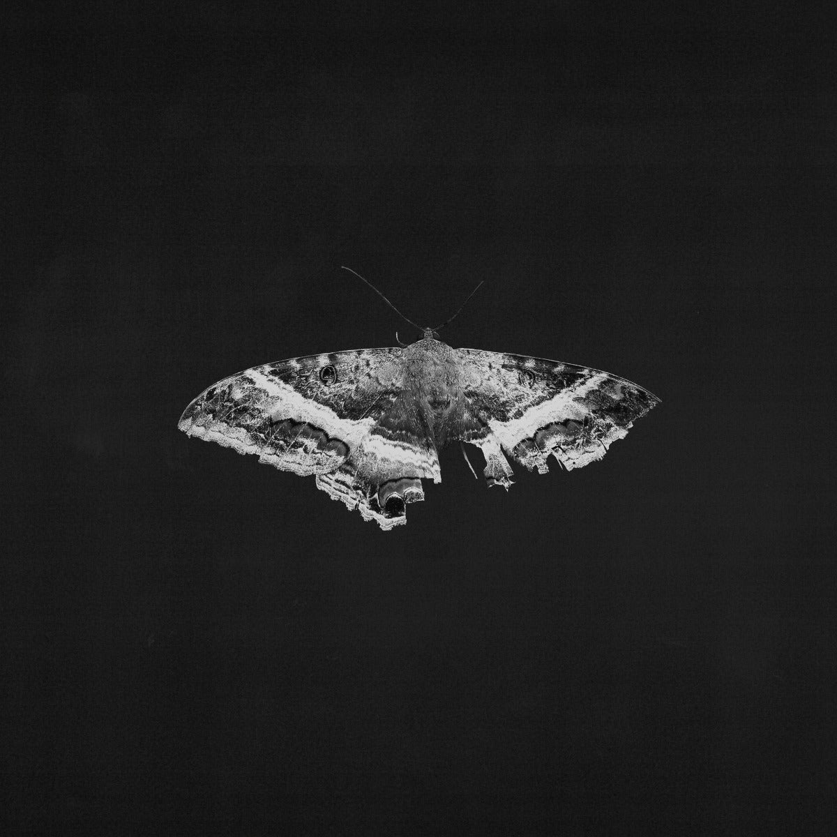 Kendrick Lamar - To Pimp A Butterfly (2 LP 10 Year Anniversary- Alternate Artwork (Black marble Vinyl) | Mint (M) Mint (M)-