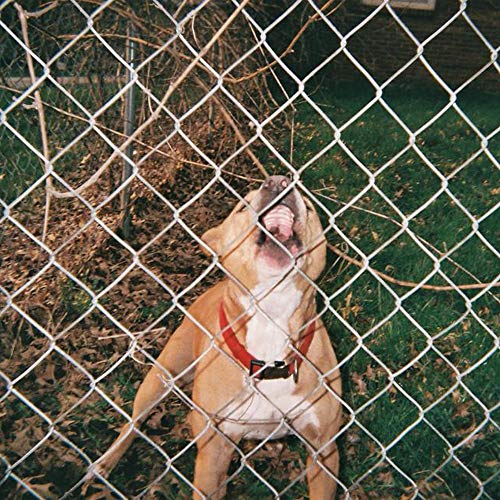 Knocked Loose - Pop Culture |-