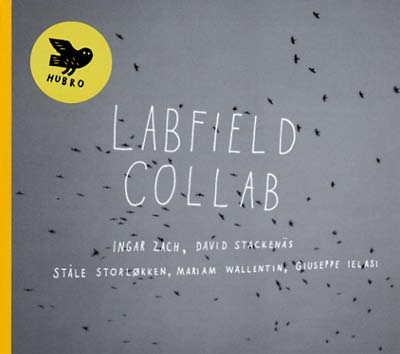LABFIELD - Collab |-