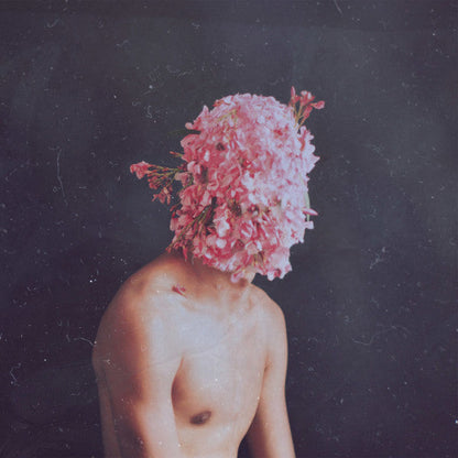 Phase Transition | Mint (M) Mint (M)-