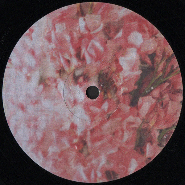 Phase Transition | Mint (M) Mint (M)-