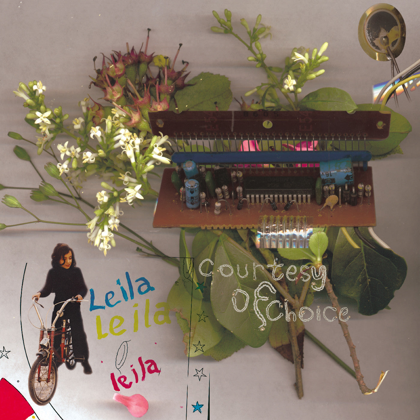 Leila - Courtesy Of Choice ۲۵... Asides And Besides 25th Anniversary (2xCD) | Mint (M) Mint (M)-