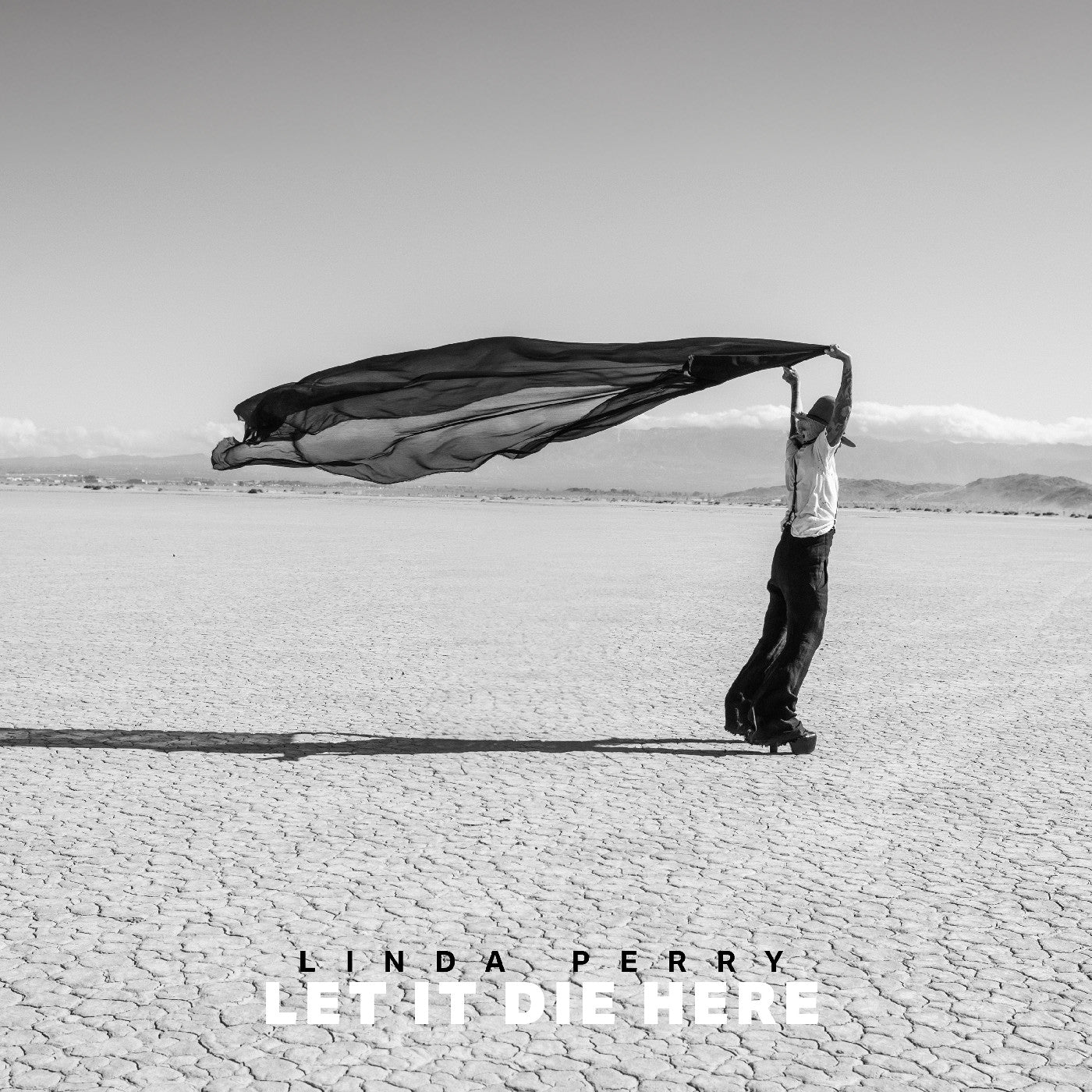 Linda Perry - Let It Die Here (Desert Glass 2xVINYL) | Mint (M) Mint (M)-