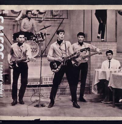LOS SAICOS - Demolicion: The Complete Recordings (VINYL) | Mint (M) Mint (M)--