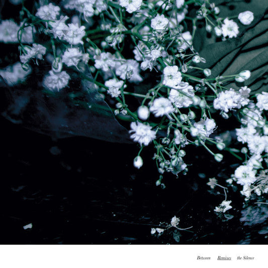 Between The Silence Remixes | Mint (M) Near Mint (NM)--