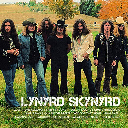 Lynyrd Skynyrd - Icon (VINYL) | Mint (M) Mint (M)-