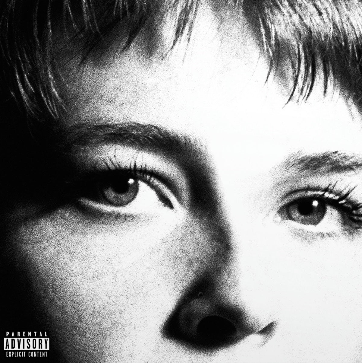 Maggie Rogers - Surrender [LP] | Mint (M) Mint (M)-