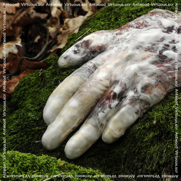 Virtuous.scr | Mint (M) Mint (M)-