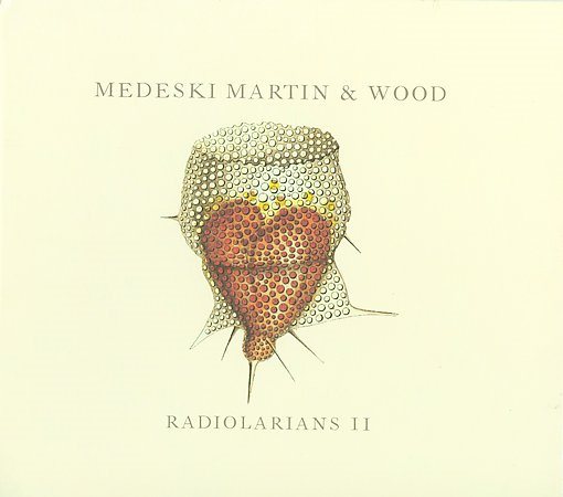 Martin Medeski - Radiolarians Ii |-