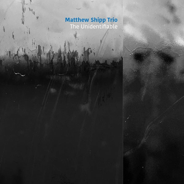 MATTHEW SHIPP TRIO - The Unidentifiable |-