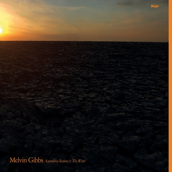 MELVIN GIBBS - Anamibia Sessions 1: The Wave |-