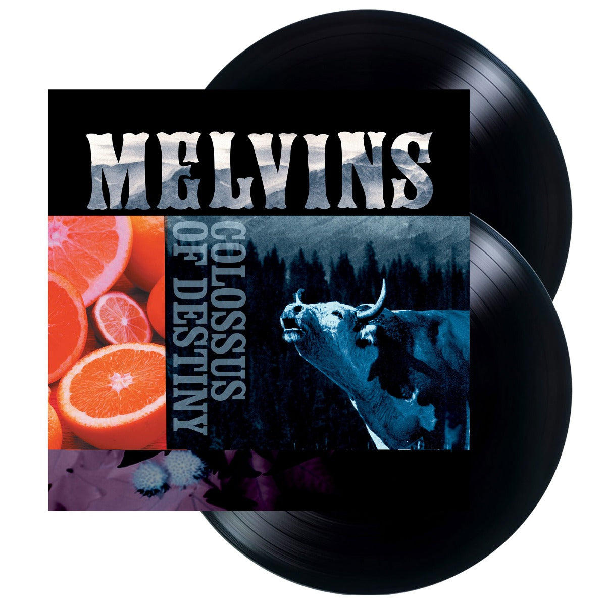 Melvins - Colossus Of Destiny (2xVINYL) | Mint (M) Mint (M)-