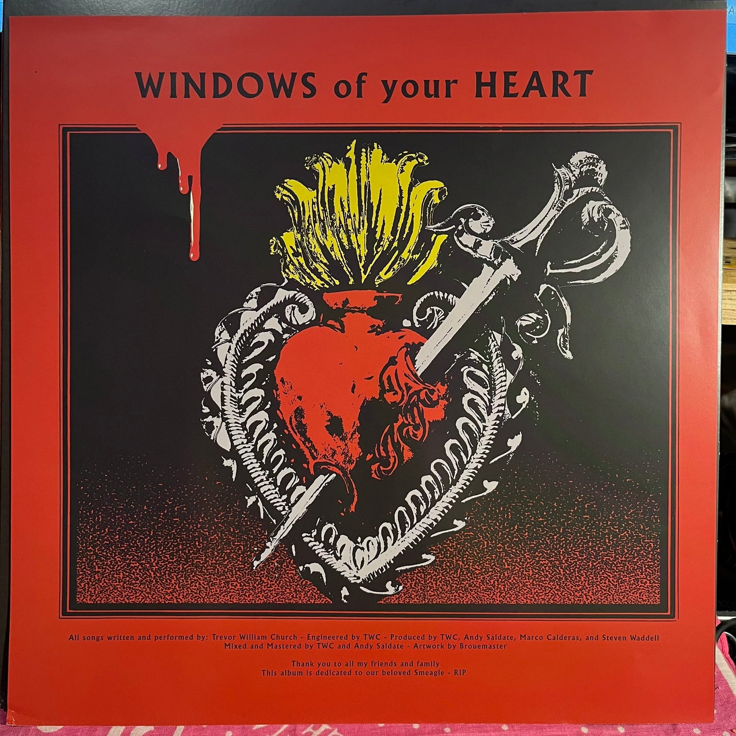 Windows Of Your Heart *HALF BLACK/CLEAR RED SPLATTER* | Mint (M) Near Mint (NM)-