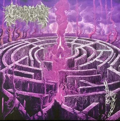 Civerous - Maze Envy (PURPLE MAGENTA MERGE VINYL) | Mint (M) Mint (M)-