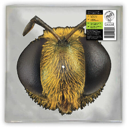 KING GIZZARD & THE LIZARD WIZARD - BIG FIG WASP (RSD 2026 VINYL) | Mint (M) Mint (M)-