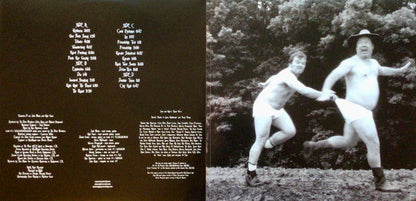 Tenacious D - Tenacious D (VINYL) | Mint (M) Mint (M)-