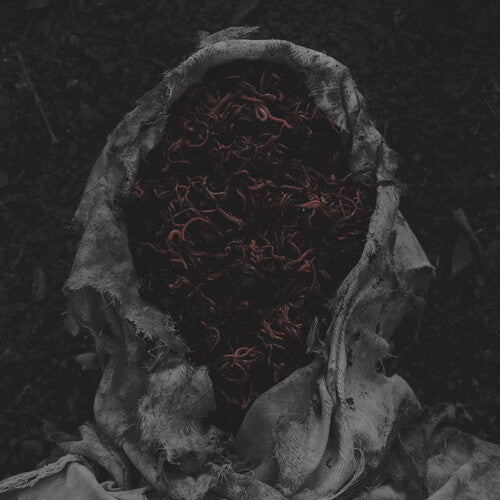 Gorrch - Stillamentum (VINYL) | Mint (M) Mint (M)-