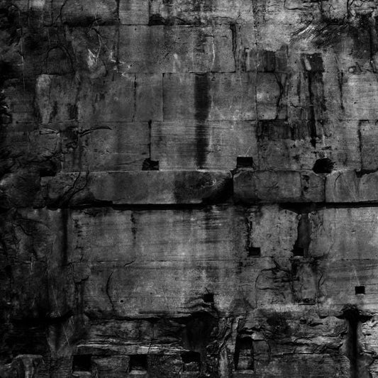 Coffin Dancer - Pax Romana (Vinyl) |-