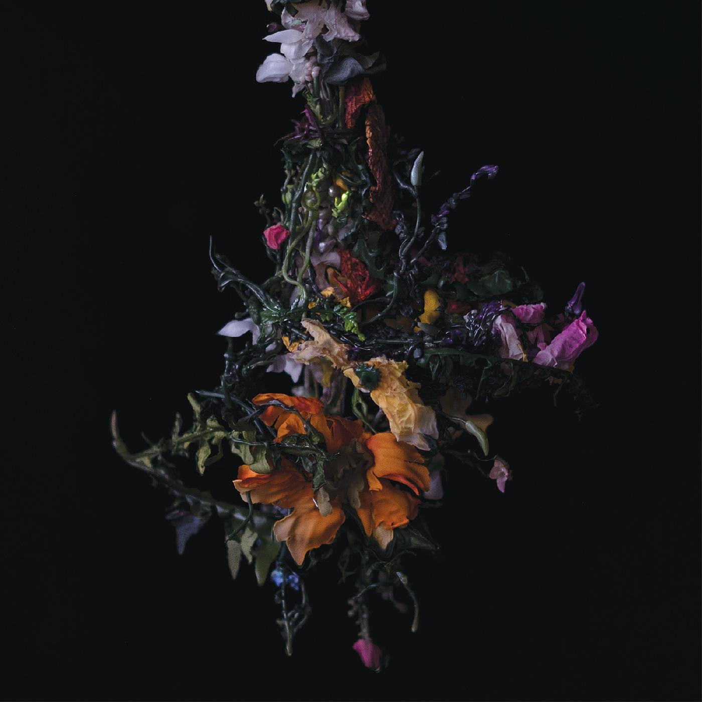 BIG|BRAVE - nature morte (CD) |-