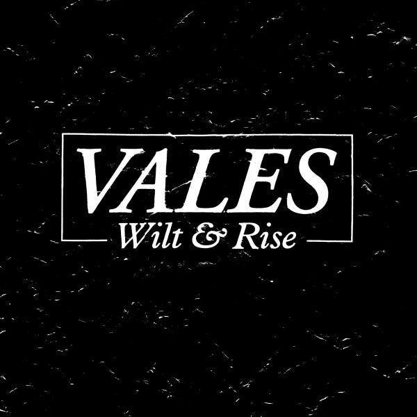 Vales - Wilt & Rise (CD) | Mint (M) Mint (M)-