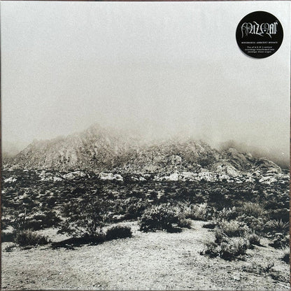 מזמור / MIZMOR - Mnemonic: Ambient Mosaic (VINYL) | Mint (M) Mint (M)-