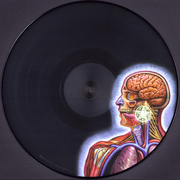 Tool (2) - Lateralus | Mint (M) Mint (M)-