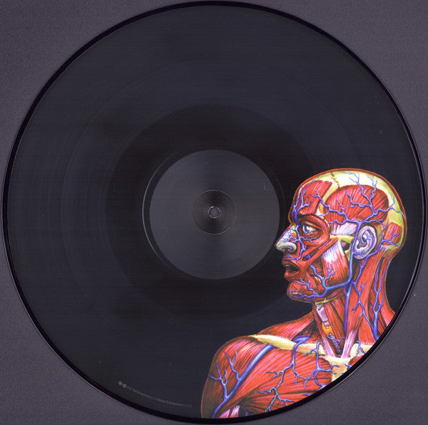 Tool (2) - Lateralus | Mint (M) Mint (M)-