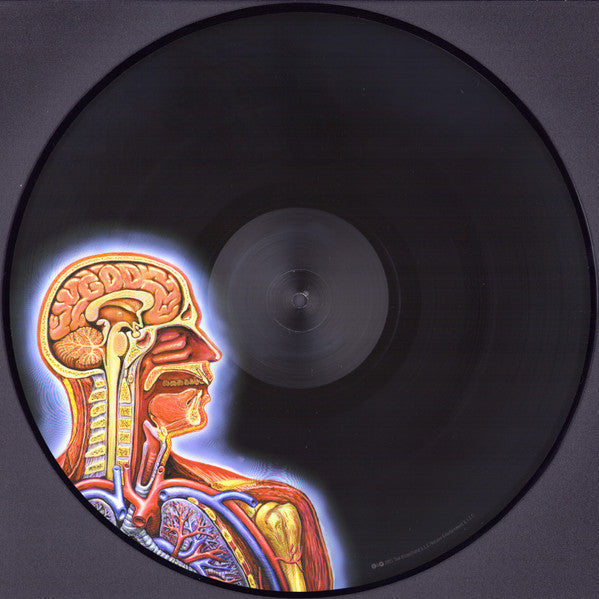 Tool (2) - Lateralus | Mint (M) Mint (M)-