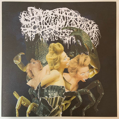 Sanguisugabogg - Homicidal Ecstasy (VINYL) | Mint (M) Mint (M)-