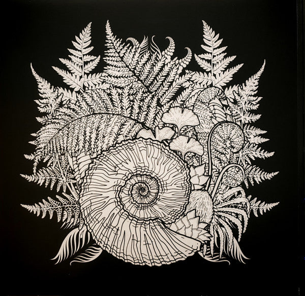 The Ocean (2) - Phanerozoic I Palaeozoic (VINYL) |-