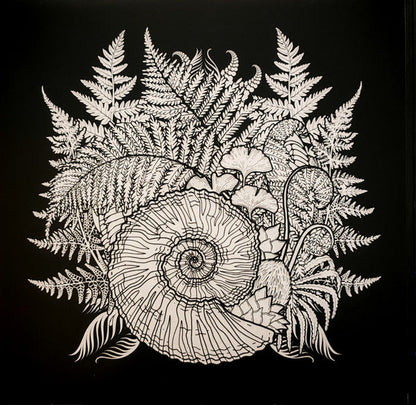 The Ocean (2) - Phanerozoic I Palaeozoic (VINYL) |-