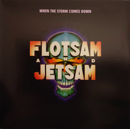 When The Storm Comes Down (VINYL) |-