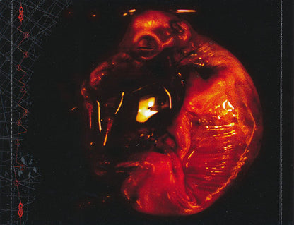 Slipknot - Iowa (CD) | Mint (M) Mint (M)-