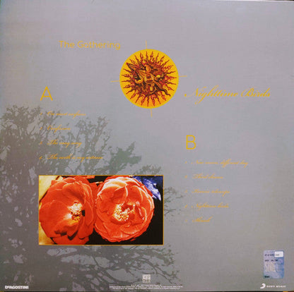Nighttime Birds (VINYL) |-