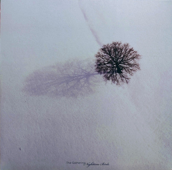 Nighttime Birds (VINYL) |-