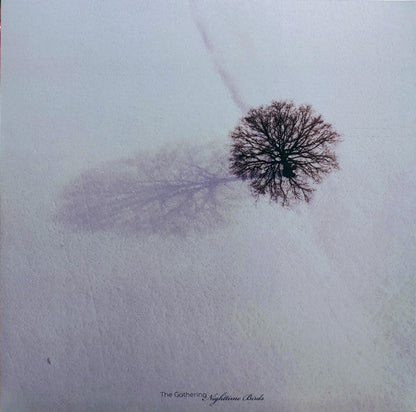 Nighttime Birds (VINYL) |-
