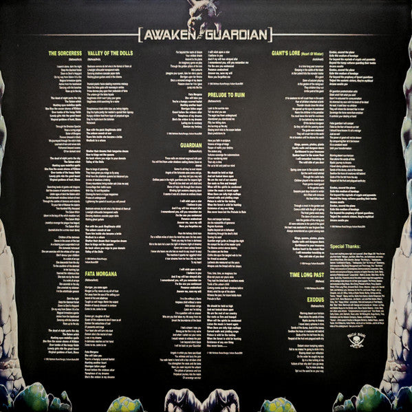 Awaken The Guardian (VINYL) |-