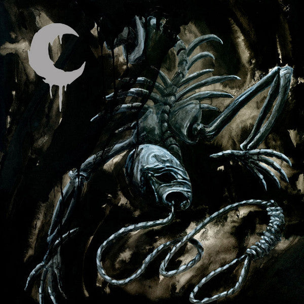 A Silhouette In Splinters (2xVINYL) | Mint (M) Mint (M)-