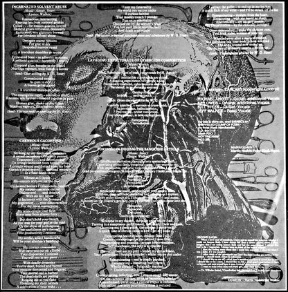 Carcass - Necroticism - Descanting The Insalubrious | Mint (M) Mint (M)-