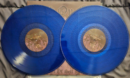 The Art Of Self Defense (2xLP) | Mint (M) Mint (M)-