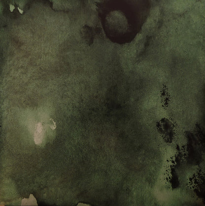 The Ocean (2) - Phanerozoic I Palaeozoic (VINYL) |-