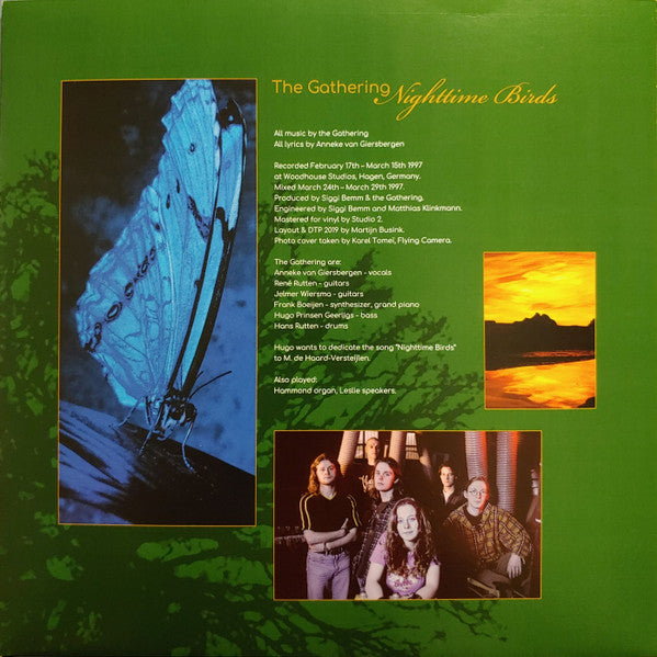 Nighttime Birds (VINYL) |-