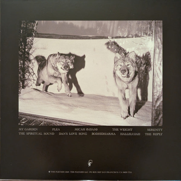 Agriculture - The Spiritual Sound (VINYL) |-