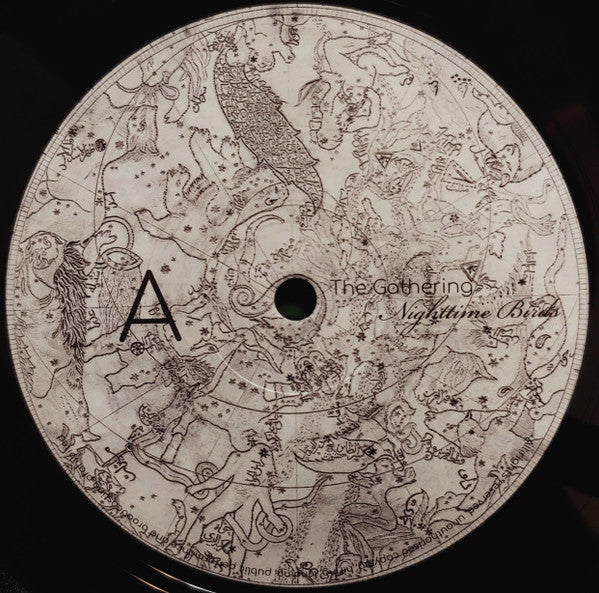 Nighttime Birds (VINYL) |-