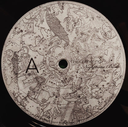 Nighttime Birds (VINYL) |-